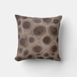 Petoskey Stone, Underbara staten Sjö, fossila möns Kudde