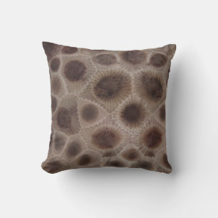 Petoskey Stone, Underbara staten Sjö, fossila möns Kudde