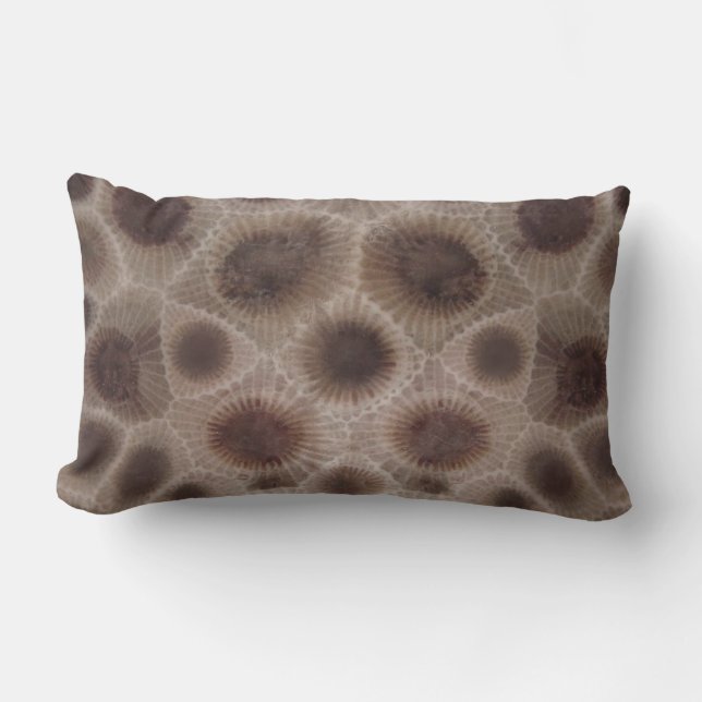 Petoskey Stone, Underbara staten Sjö, fossila möns Lumbarkudde (Framsida)