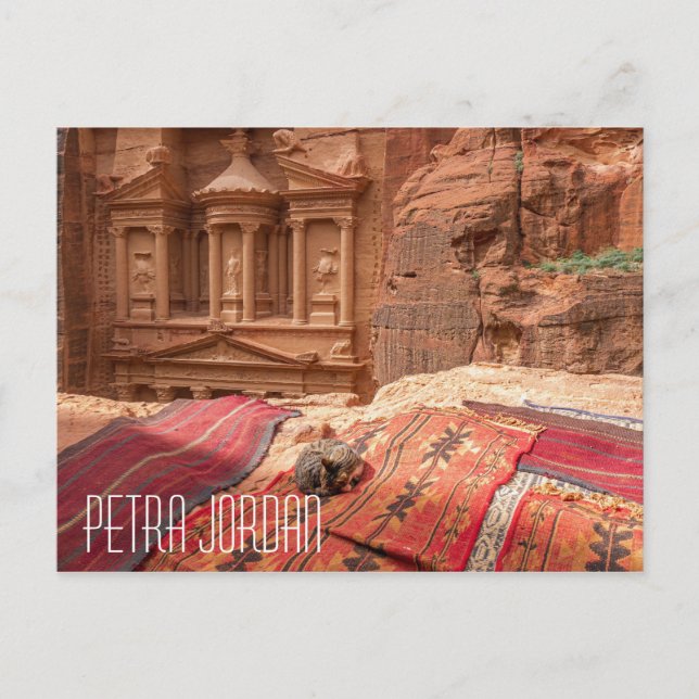 Petra Jordan cat Postcard Vykort (Framsida)