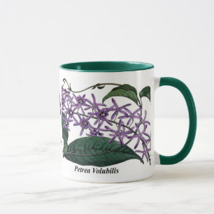 Petrea Volubilis Mugg