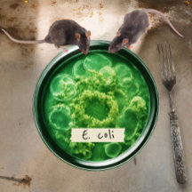 Petri Dish Papper Tallrikar, 7-tums rund Papper pl