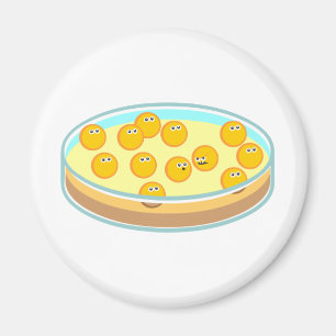 Petri maträtt MRSA Magnet