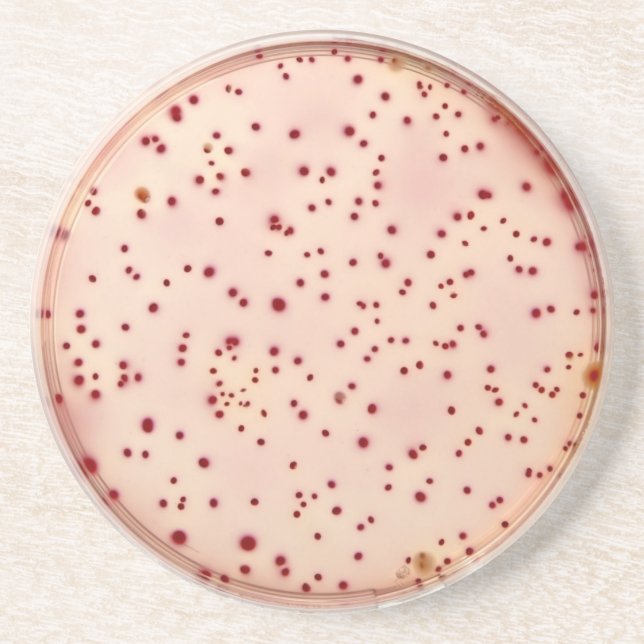 Petri maträttkustfartyg underlägg (Framsidan)