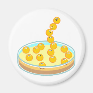 Petri maträtttorn magnet