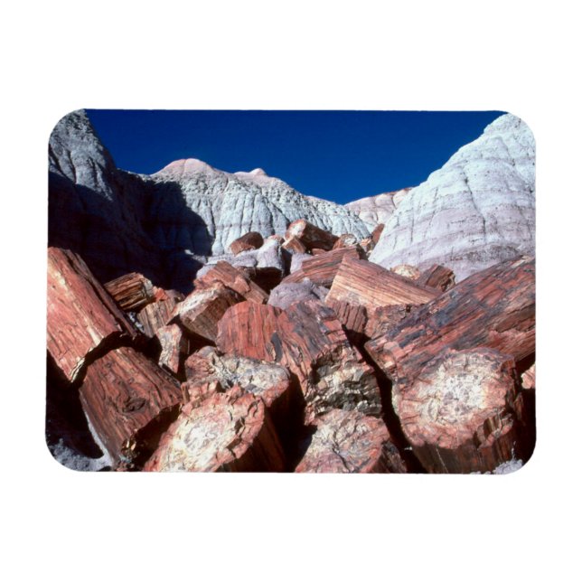 Petriefied Wood, Petrified Forest NP, Arizona Magnet (Horisontell)