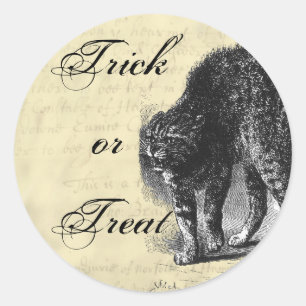 Petrified Cat Halloween Runt Klistermärke