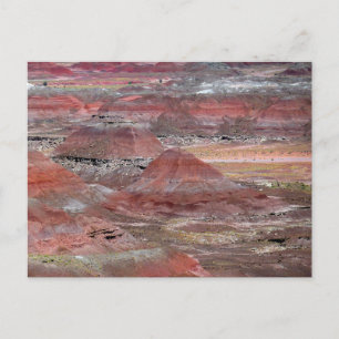 Petrified Forest 2 Vykort