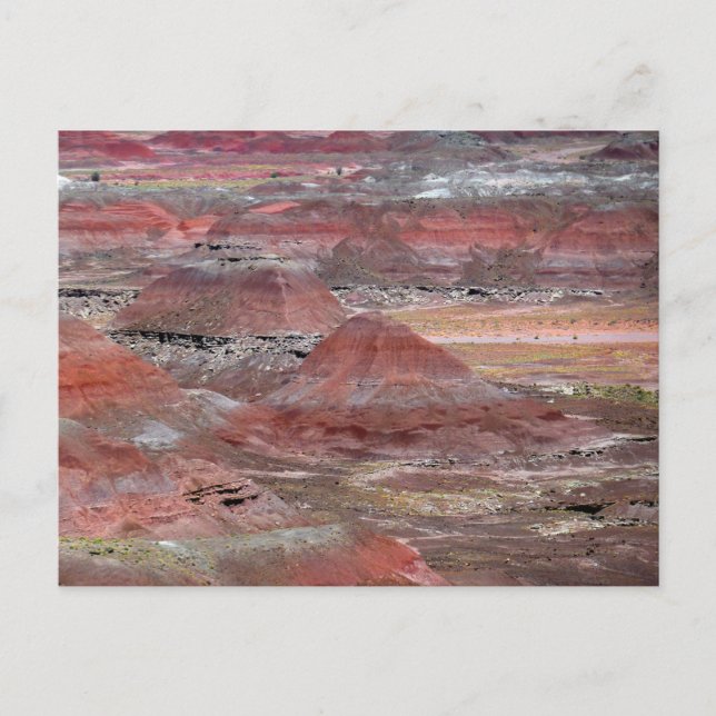 Petrified Forest 2 Vykort (Framsida)