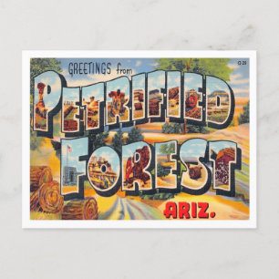 Petrified Forest, Arizona Vintage Big Brev Vykort