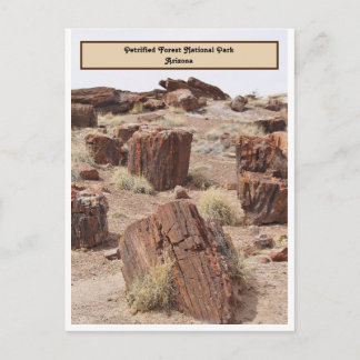 Petrified Forest, AZ, Lodrät Vykort