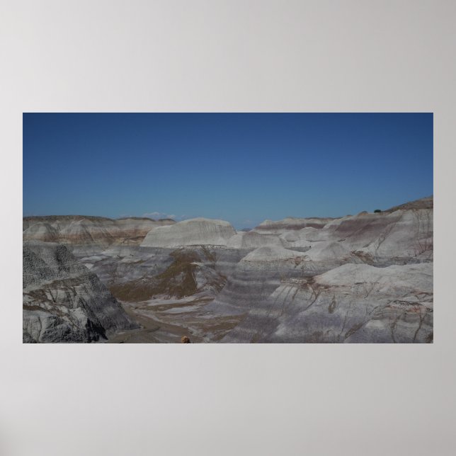Petrified Forest Badlands Poster (Framsidan)