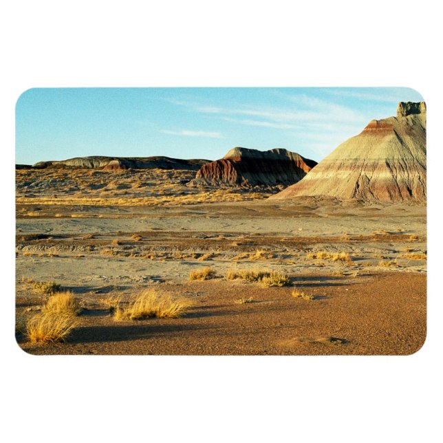 Petrified Forest Desert Arizona Ligcape Photo Magnet (Horisontell)