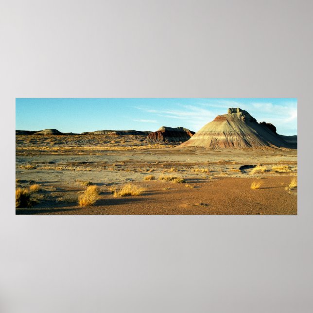 Petrified Forest Desert Arizona Ligcape Photo Poster (Framsidan)