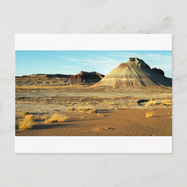 Petrified Forest Desert Arizona Ligcape Photo Vykort (Framsida)