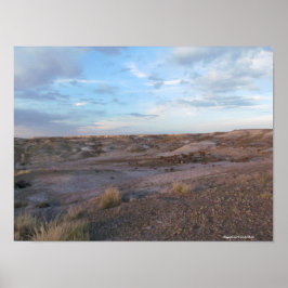 Petrified Forest Fält Poster