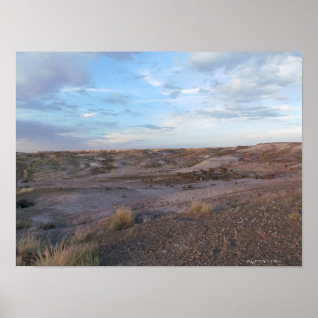 Petrified Forest Fält Poster (Framsidan)