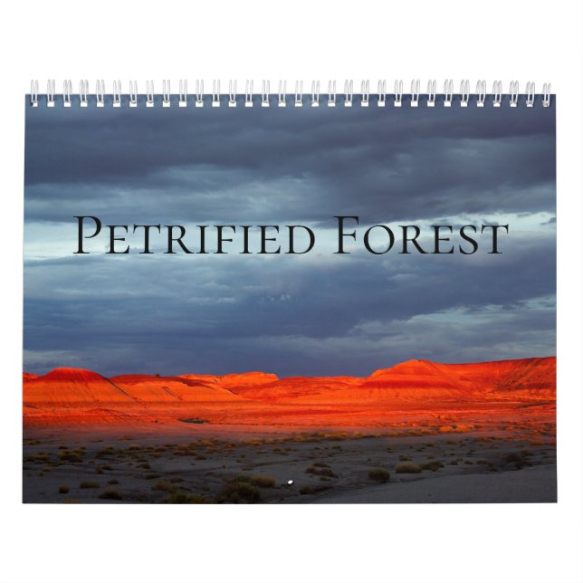Petrified Forest Kalender (Omslag)