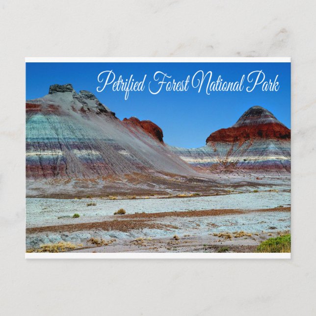 Petrified Forest National Park, Arizona Postcard Vykort (Framsida)