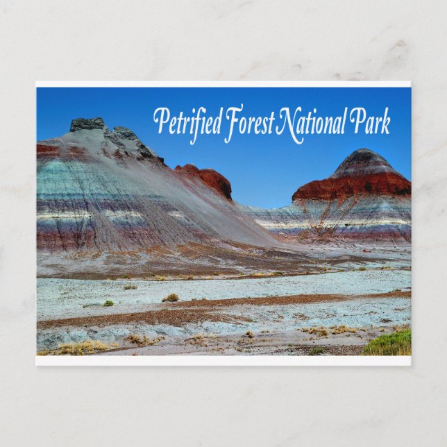 Petrified Forest National Park, Arizona Postcard Vykort (Framsida)