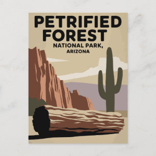 Petrified Forest National Park Arizona Vykort