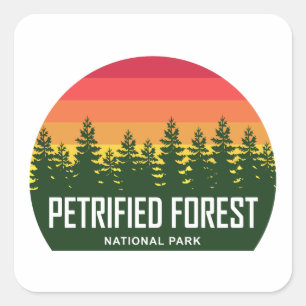 Petrified Forest National Park Fyrkantigt Klistermärke