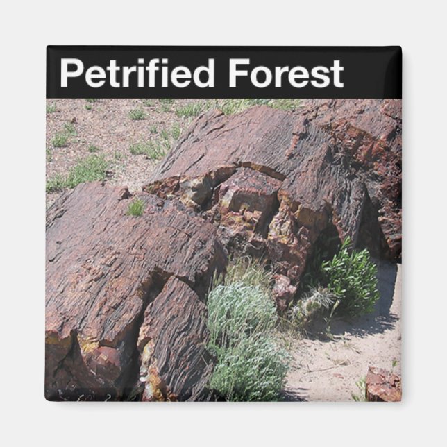 Petrified Forest National Park Magnet (Framsidan)