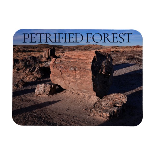 Petrified Forest National Park Magnet (Horisontell)