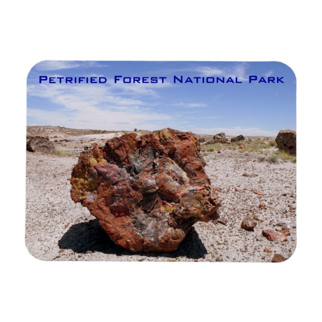 Petrified Forest National Park Magnet (Horisontell)