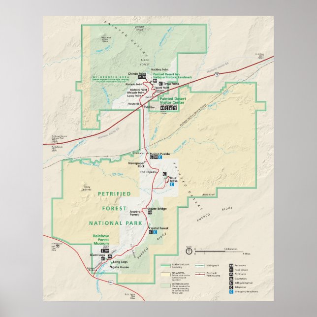 Petrified Forest National Park Poster (Framsidan)