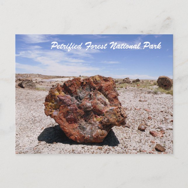 Petrified Forest National Park Vykort (Framsida)