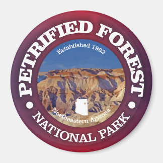 Petrified Forest NP Magnet