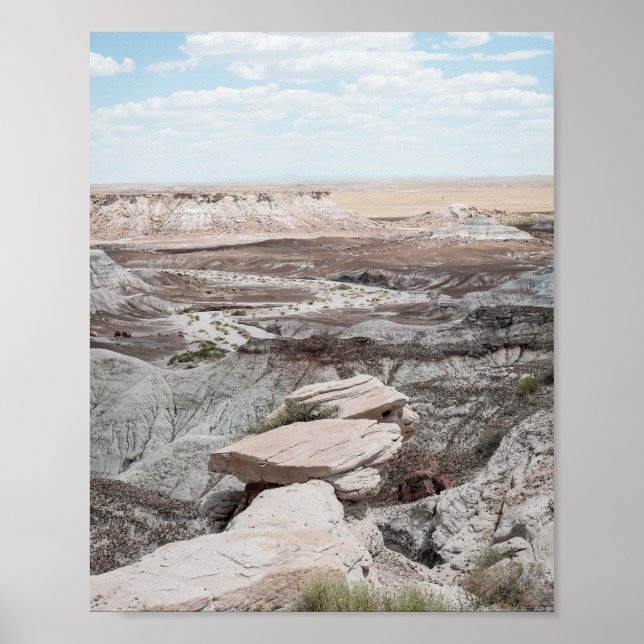 Petrified Forest Print Poster Paper (Semi-Gloss) (Framsidan)
