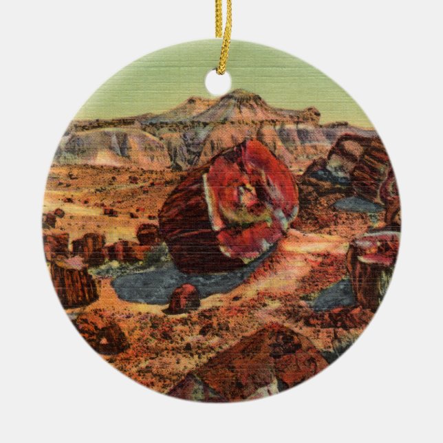 Petrified Forest Vintage Arizona Ornament (Framsidan)