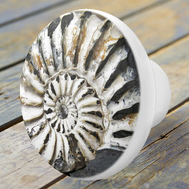Petrified Nautical Fossil Spiral Ceramic Knob Knopp