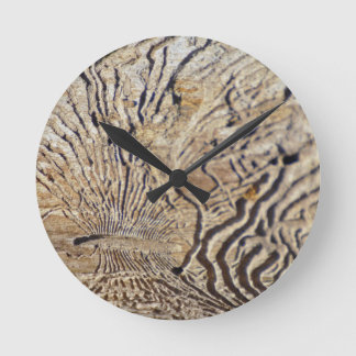 Petrified Rund Klocka