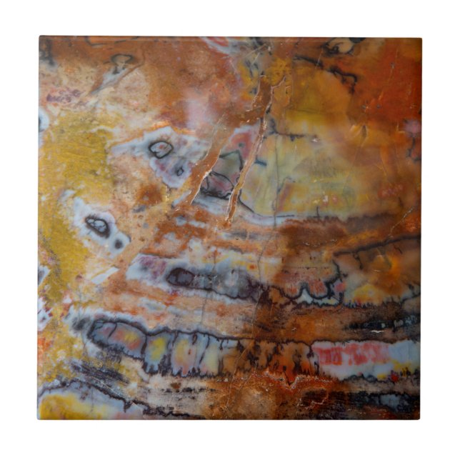 Petrified Wood Brown Kakelplatta (Framsidan)