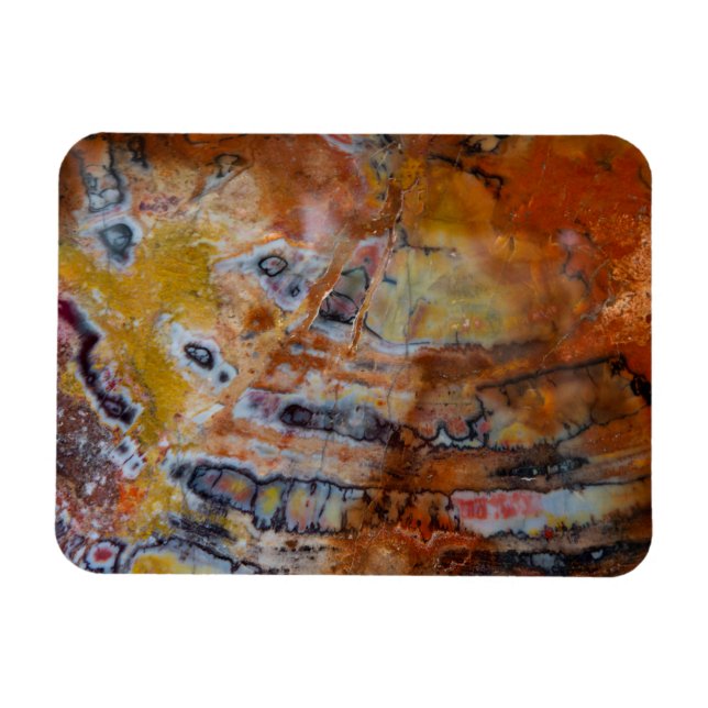 Petrified Wood Brown Magnet (Horisontell)