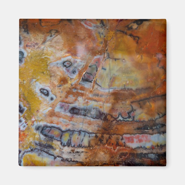 Petrified Wood Brown Magnet (Framsidan)