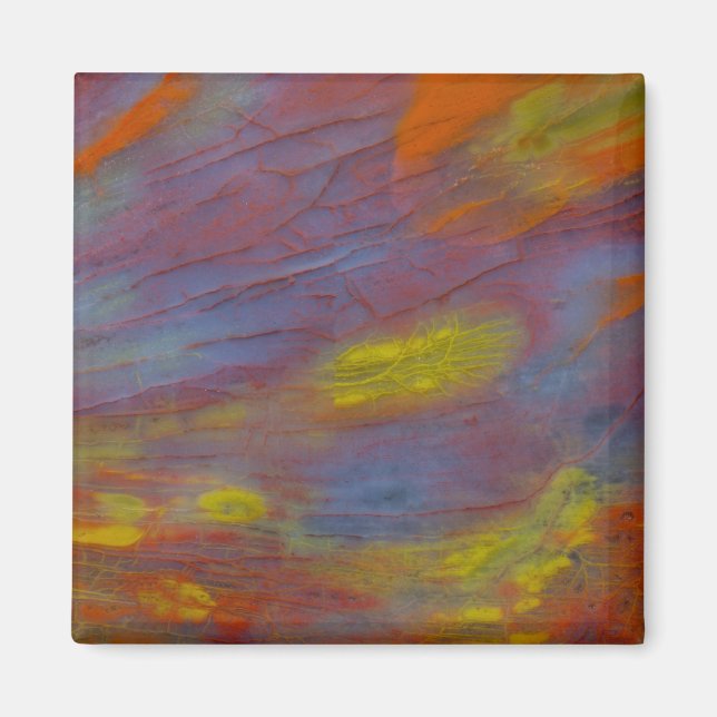 Petrified Wood Close-Up Magnet (Framsidan)