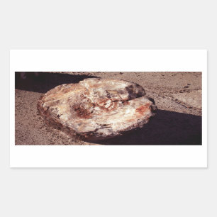 Petrified Wood Log med Shadows Arizona Photo Rektangulärt Klistermärke