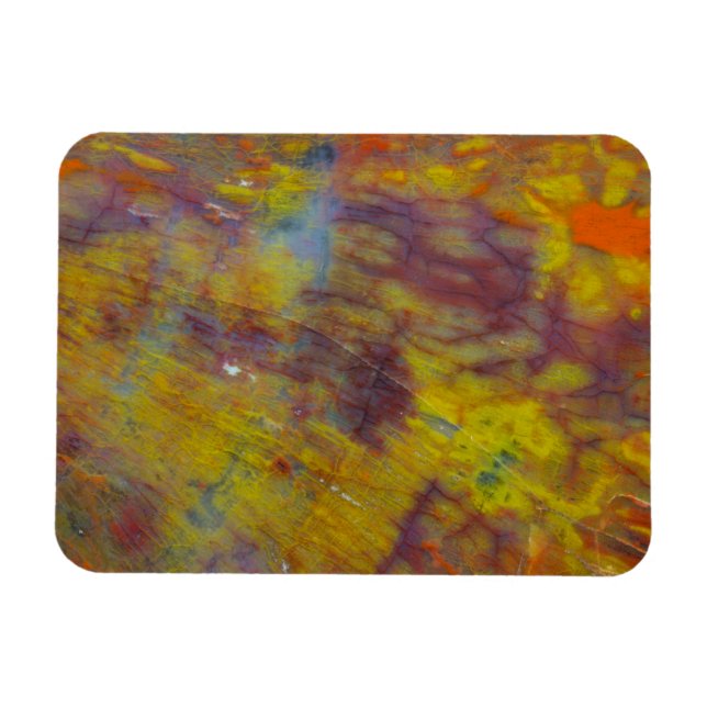 Petrified Wood Magnet (Horisontell)