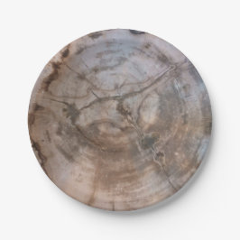 Petrified Wood Plate