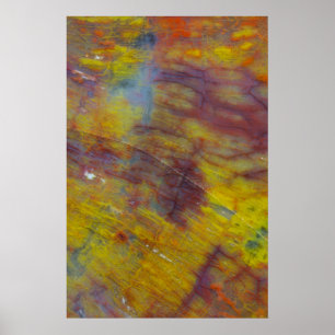 Petrified Wood Poster