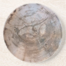 Petrified Wood