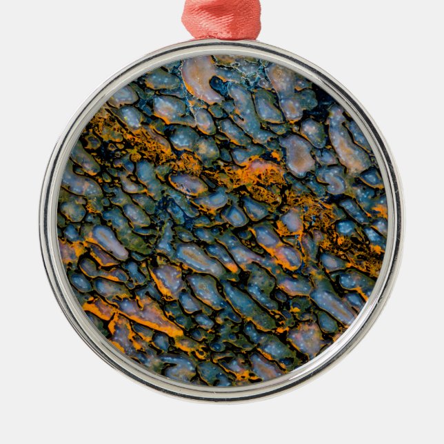 Petrifierat dinosauribon julgransprydnad metall (Framsidan)