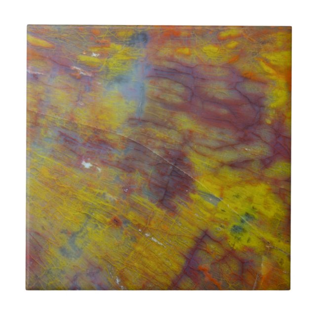 Petrifierat trä kakelplatta (Framsidan)