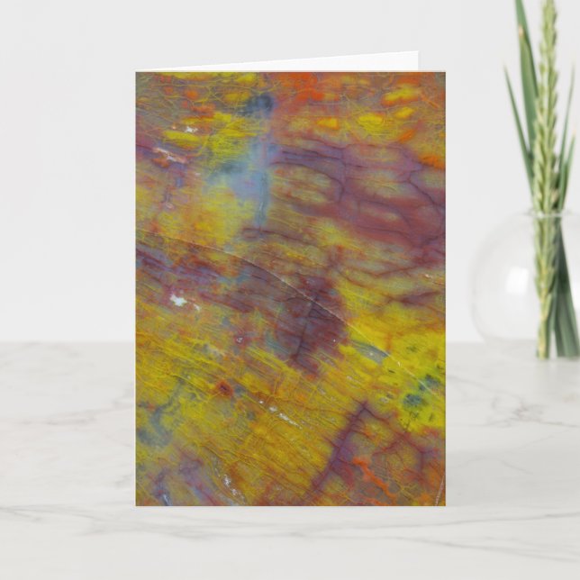 Petrifierat trä kort (Framsida)