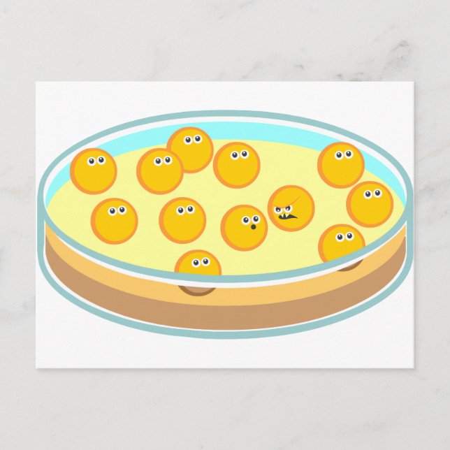 Petriskål MRSA Vykort (Framsida)