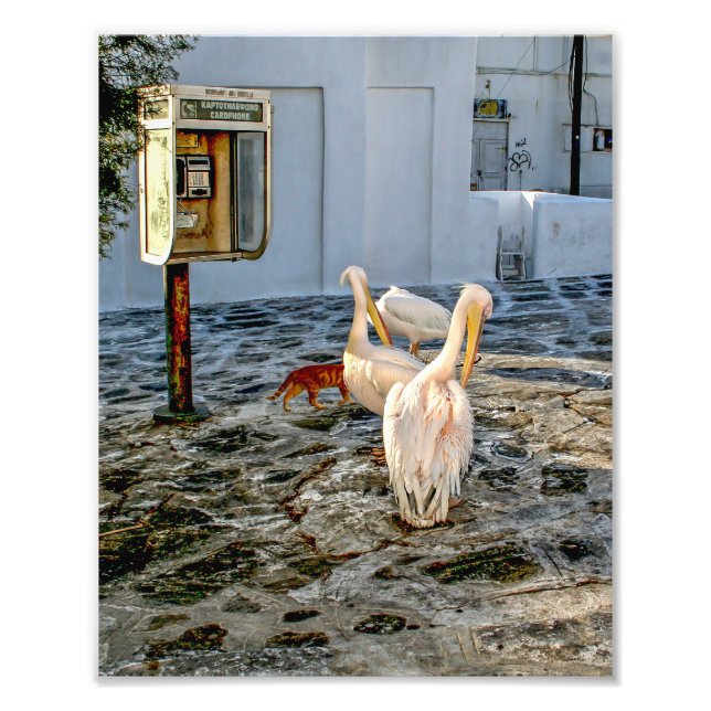 Petros Fototryck (Framsidan)